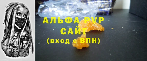 индика Балахна