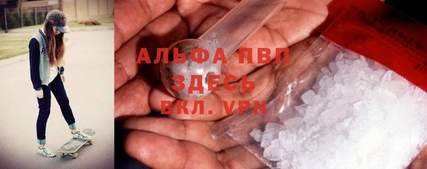 индика Балахна