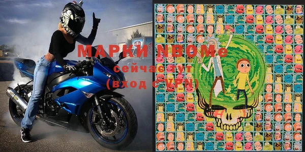 индика Балахна