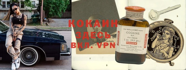 индика Балахна