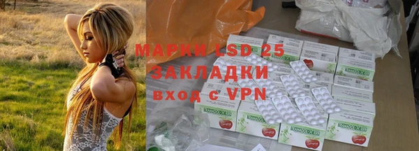 индика Балахна