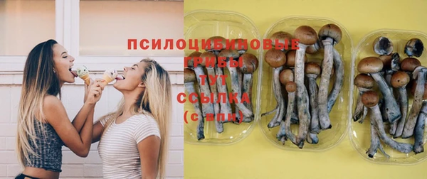 индика Балахна